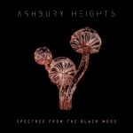 ashbury heights